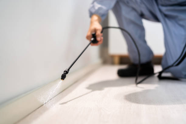 Licensed Rodent Control service in Fountain Hills, AZ - Nex Pest Control