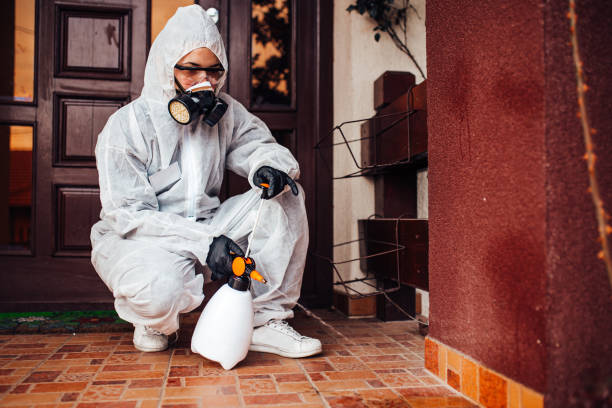 Reliable Rodent Control contractor in Fountain Hills, AZ by Nex Pest Control